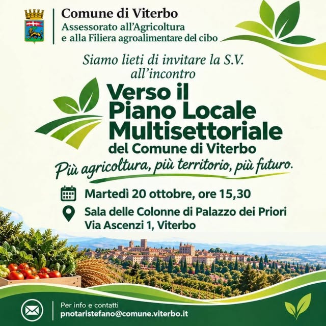 Locandina di Verso il Piano Locale Multisettoriale del Comune di Viterbo