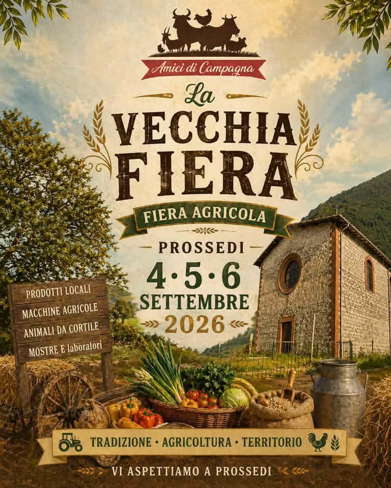 Locandina di La Vecchia Fiera